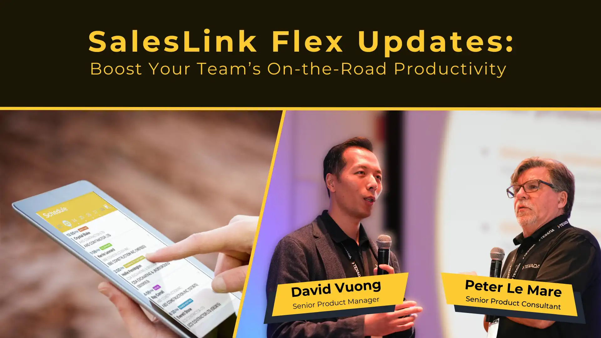 webinar shapshot